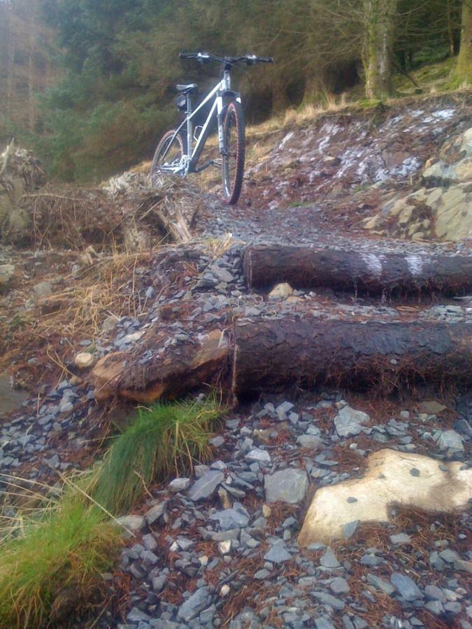 Silver Ridge, 2 House O` Hill Newton Stewart Eksteriør billede